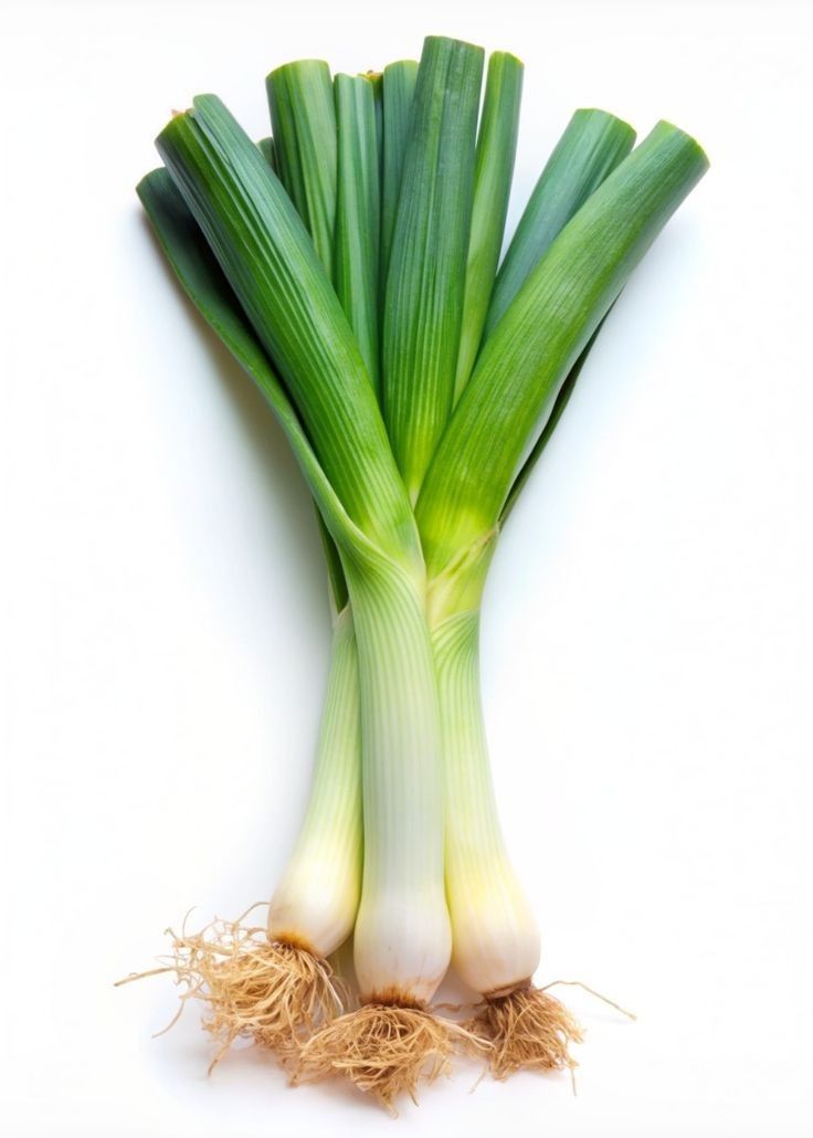 Daun Bawang Gianyar