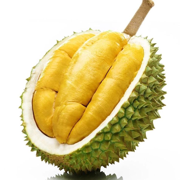 Durian Montong Bali Super